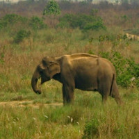 सर्वोच्चको निर्णयपछि कृष्ण मोटरमार्ग ठेक्का रद्द